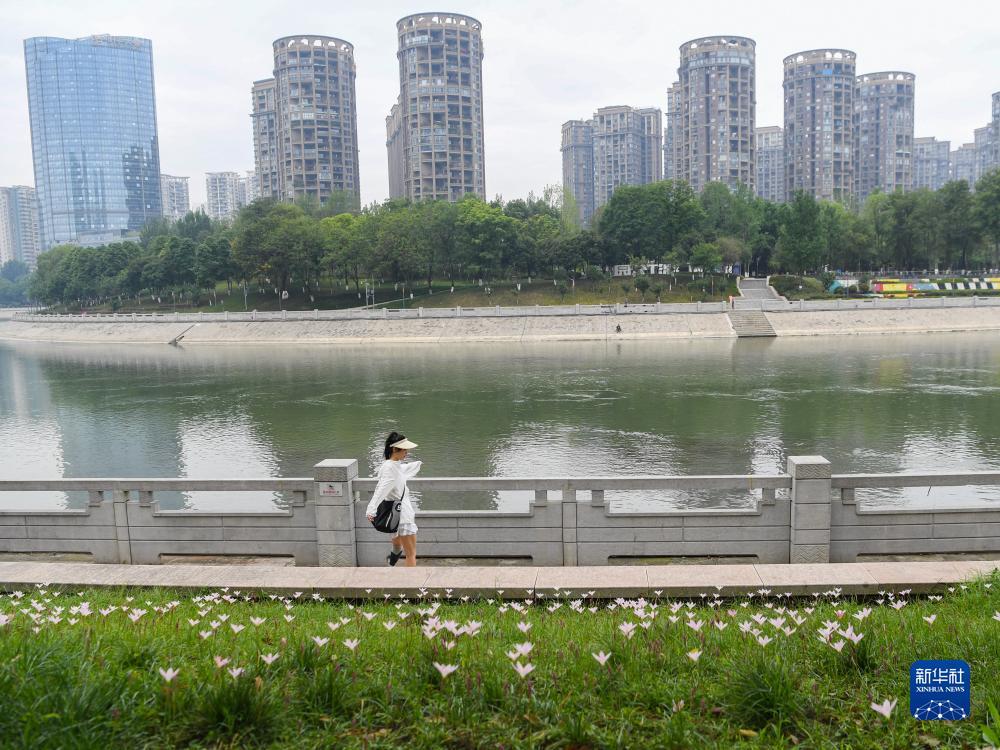 齐乐娱乐国际